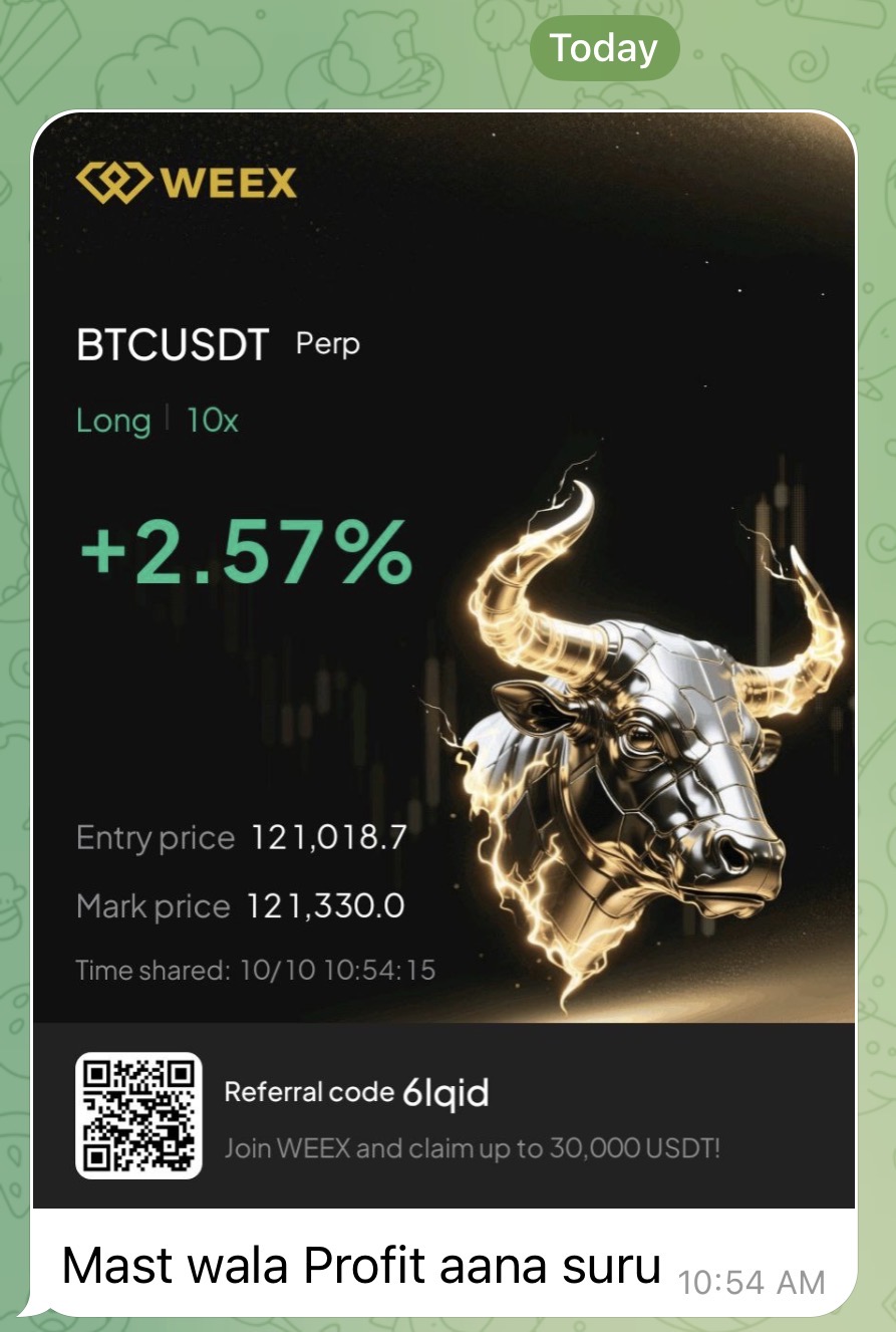 BingX user profit screenshot 30